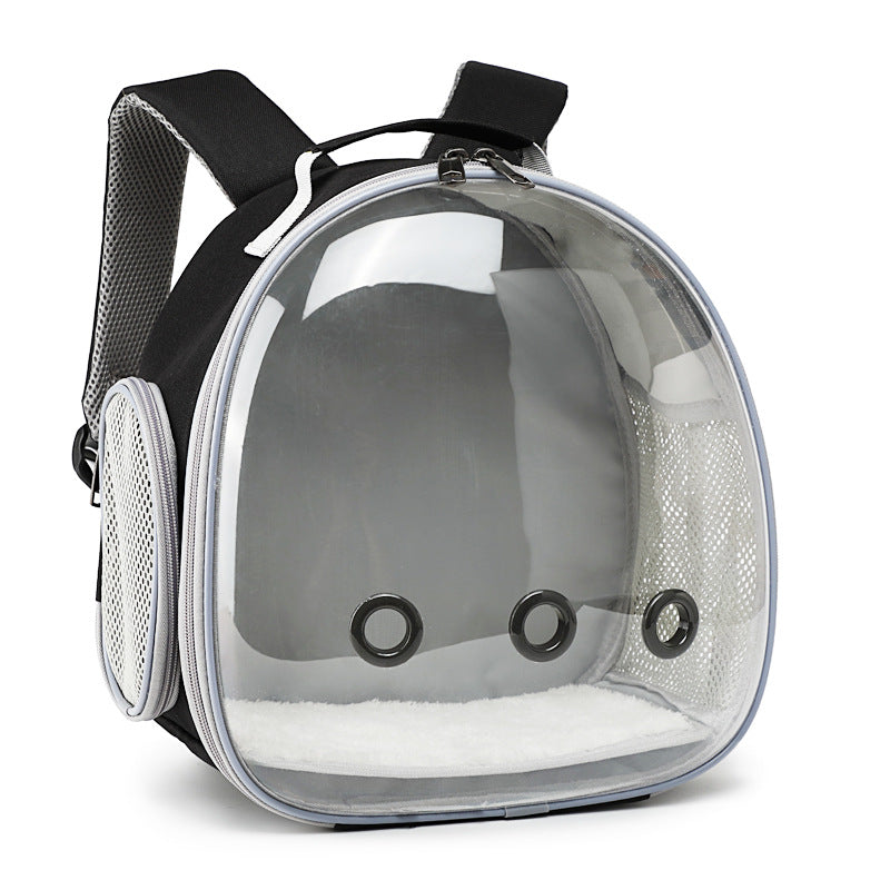 Sac à dos de transport pour animaux de compagnie, sac à dos transparent pour petit animal, sac de transport pour hamster, cochon d'Inde, écureuil volant, furet, lapin