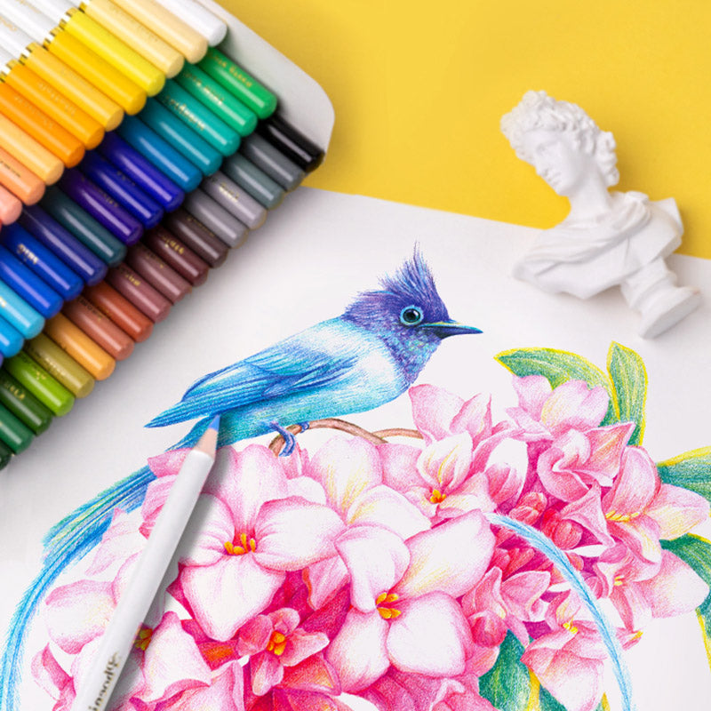 Oily Student Children's Art Hand-painted Special Colored Pencils