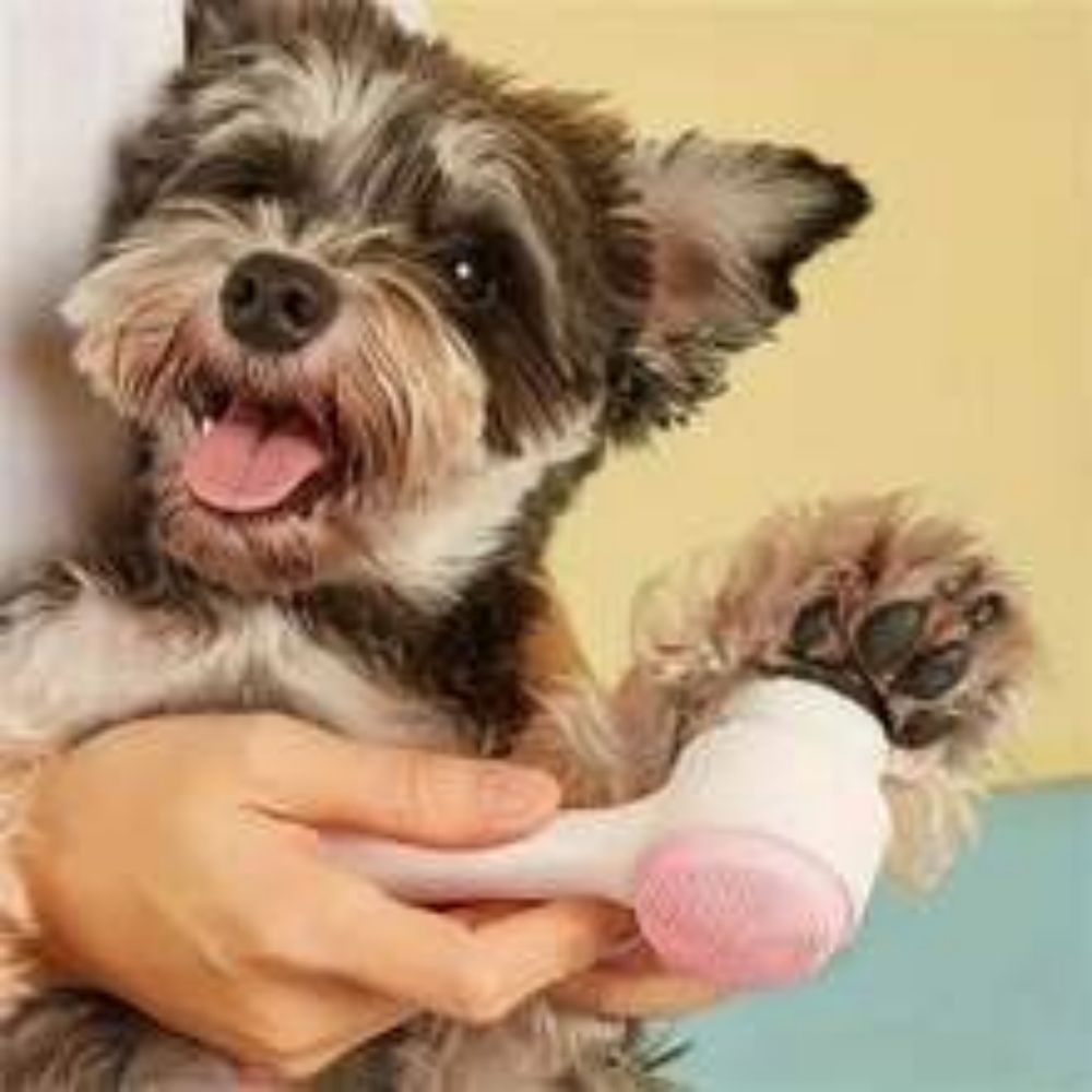 Brosse à pattes pour animaux Easy Clean Nylon - Outil de toilettage et de massage doux pour chiens et chats - Accessoires de toilettage pour animaux de compagnie
