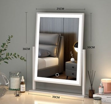 Mirror Household Small Dormitory Vertical Makeup Mirror With Lamp