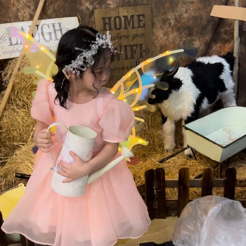 Girl Light-emitting Butterfly Electric Wings Toys With Lights