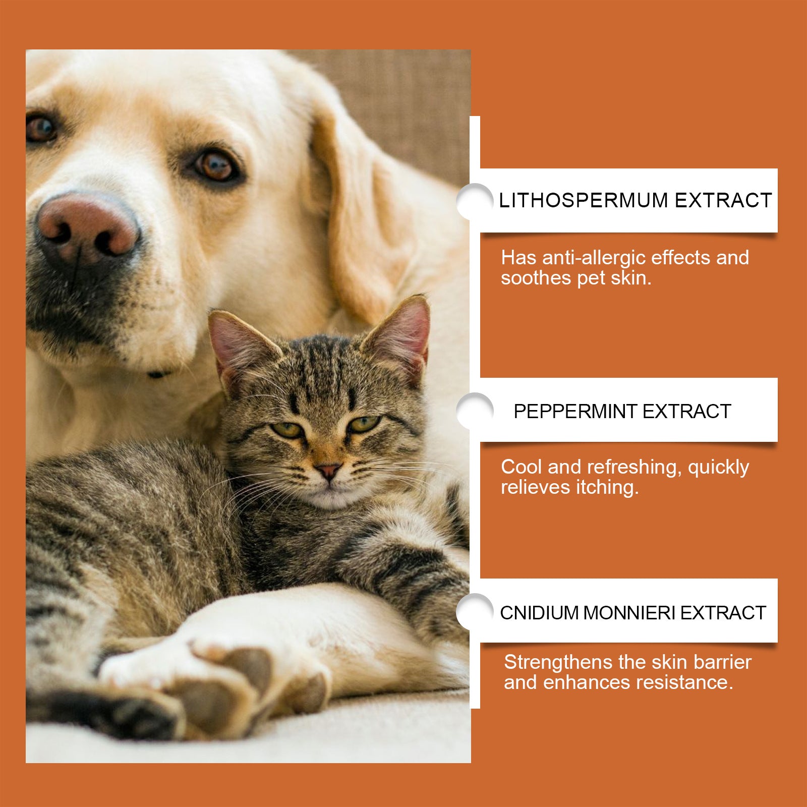 Mild Anti-itching Relieve Skin Discomfort Care Pet Neck Cream