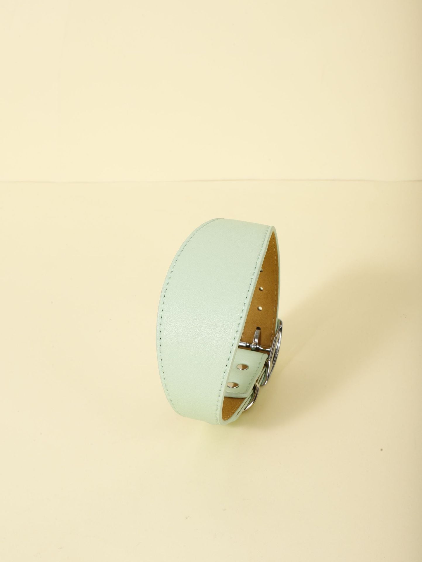 New Pet Casual Adjustable Collar