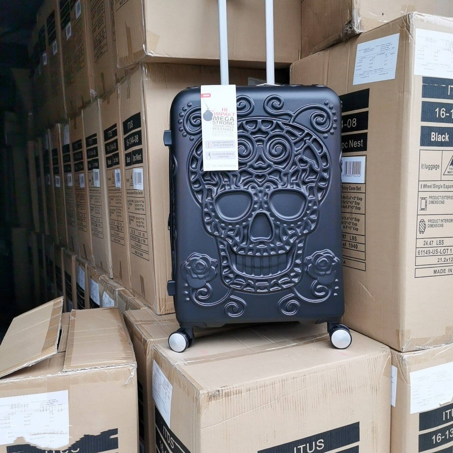 Skull Scratch-resistant Frosted Trolley Case