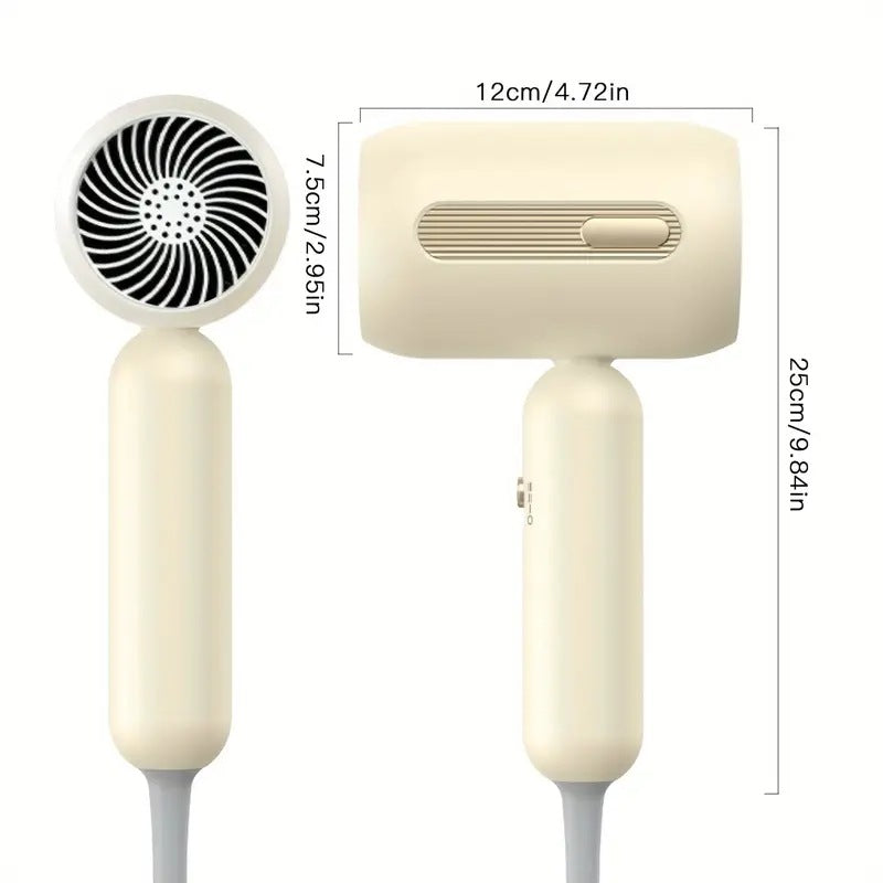 Standard Leakage Protection Speed Electric Hair Dryer Household High Power Quick-drying Constant Temperature