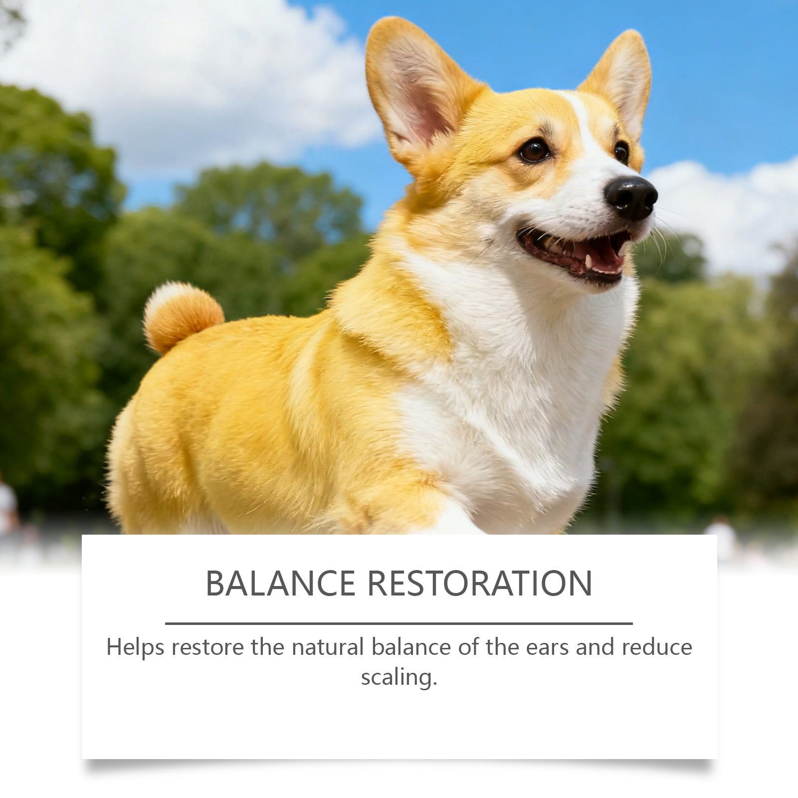 Gentle Ingredients Care For Refreshing Pet Ear Cleaner