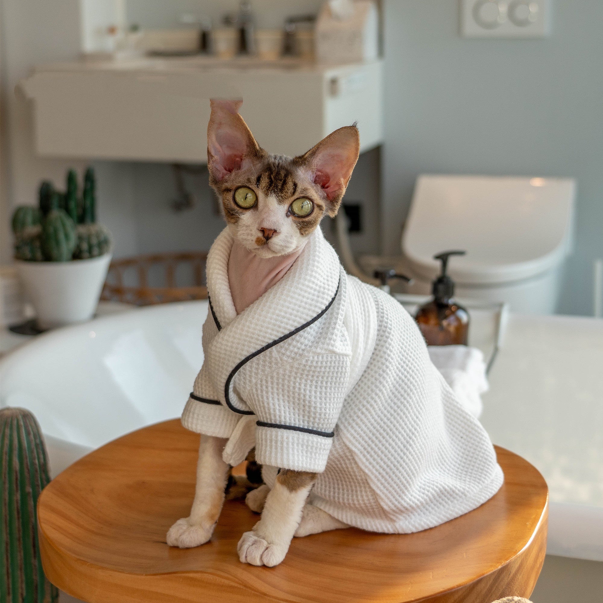 Pet Bathrobe And Bath Towelsoft And Highly Absorbent