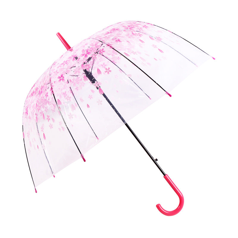 Long Handle Automatic Transparent Umbrella Female Creative Small Fresh