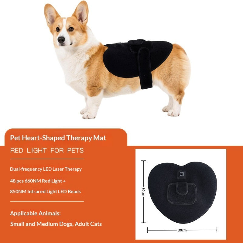 Pet Red Light Physiotherapy Mat For Post-Surgery Recovery Pain Relief And Spinal Care In Cats And Dogs