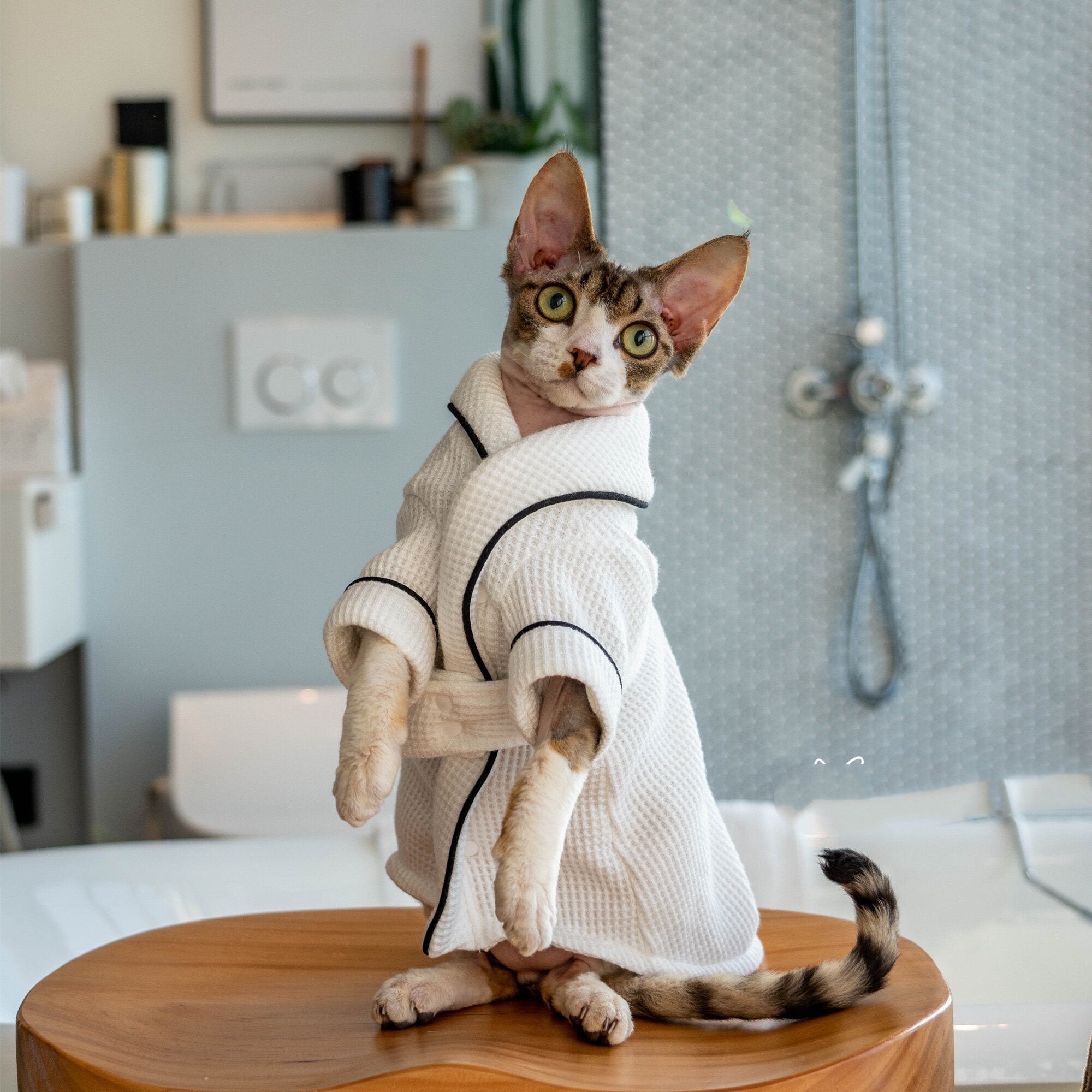 Pet Bathrobe And Bath Towelsoft And Highly Absorbent