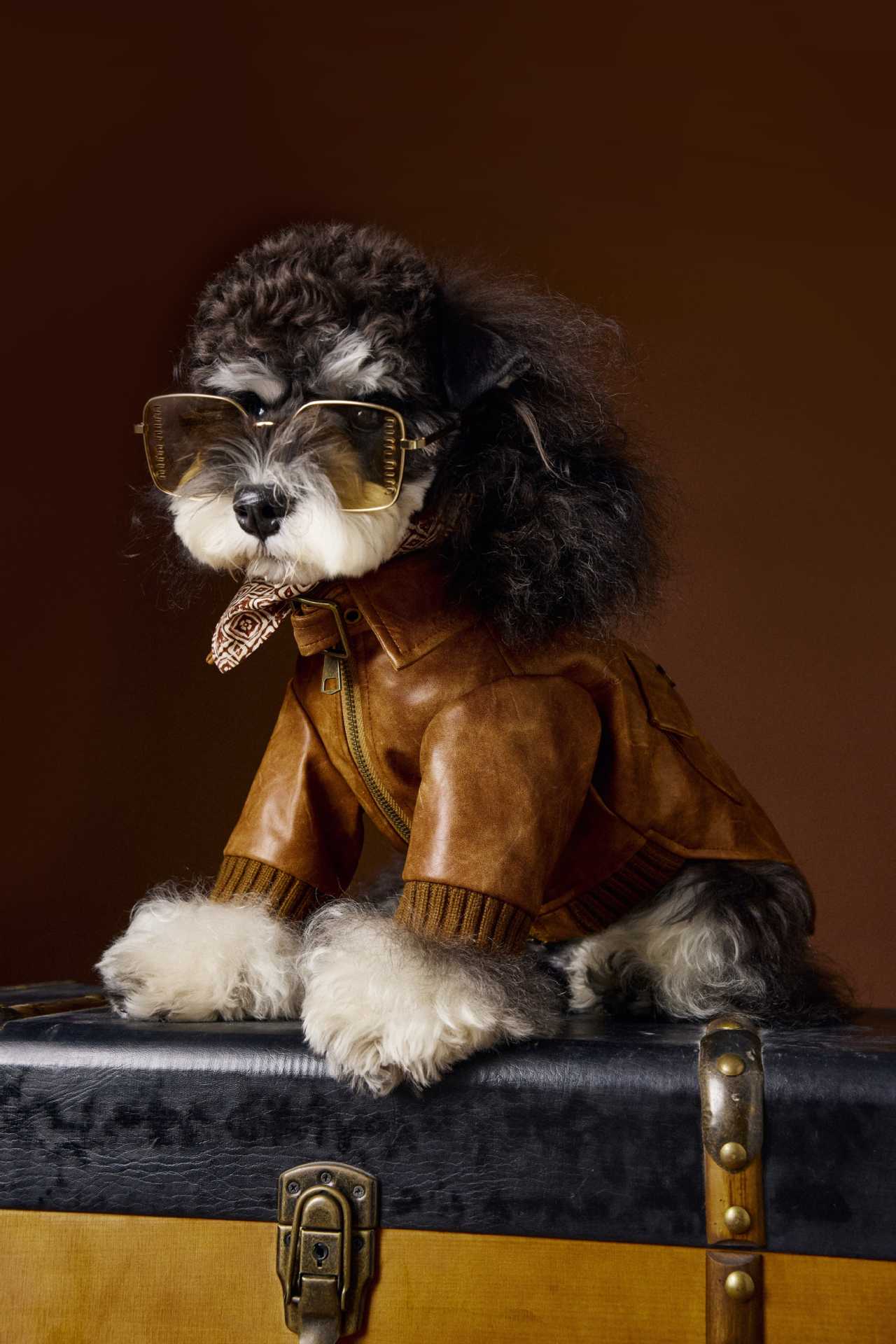 Schnauzer Bichon Handsome Retro Style Long Sleeve Two Feet Apparel Leather Coat