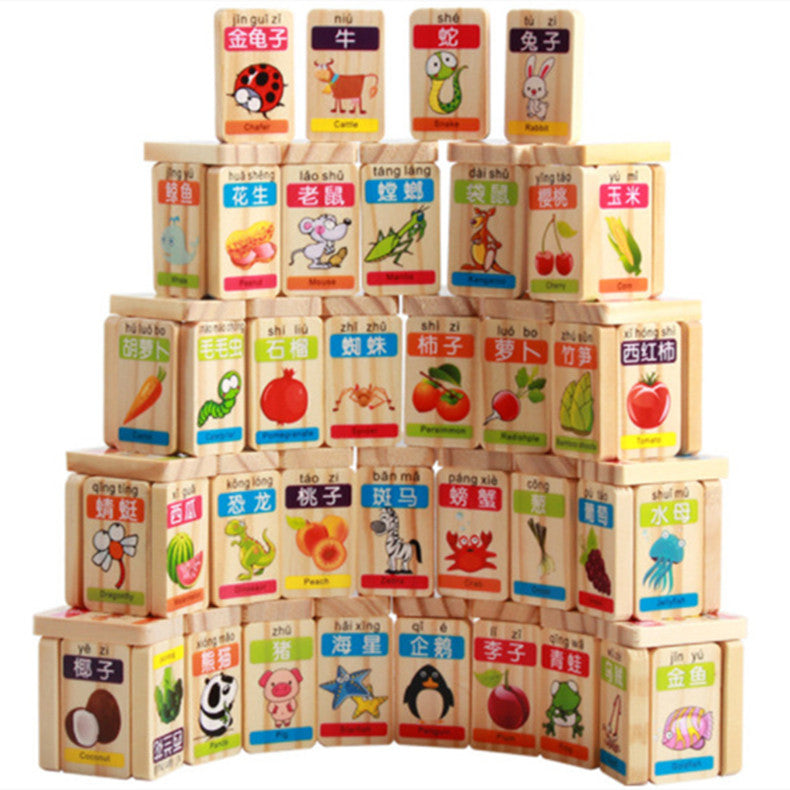 Single-sided Fruit Animal Dominoes Children's Toys Learning Building Blocks