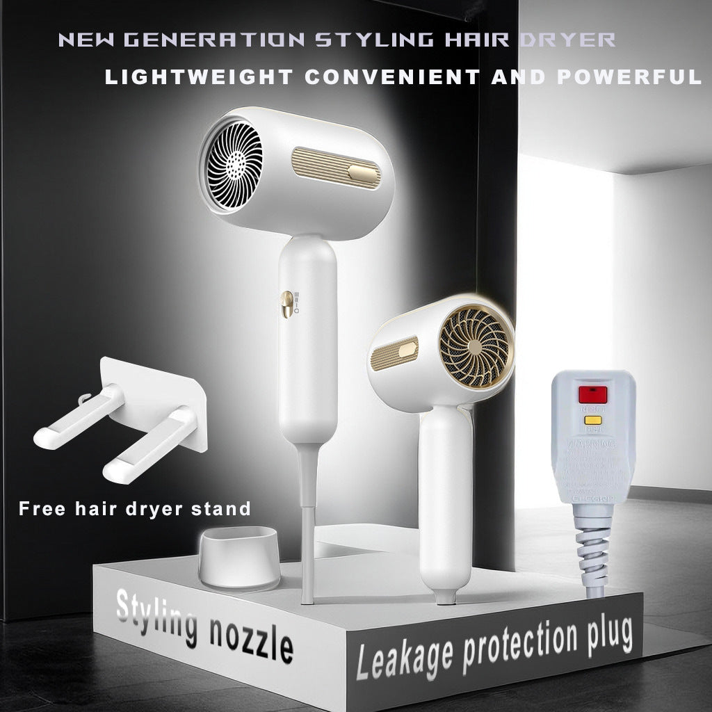 Standard Leakage Protection Speed Electric Hair Dryer Household High Power Quick-drying Constant Temperature