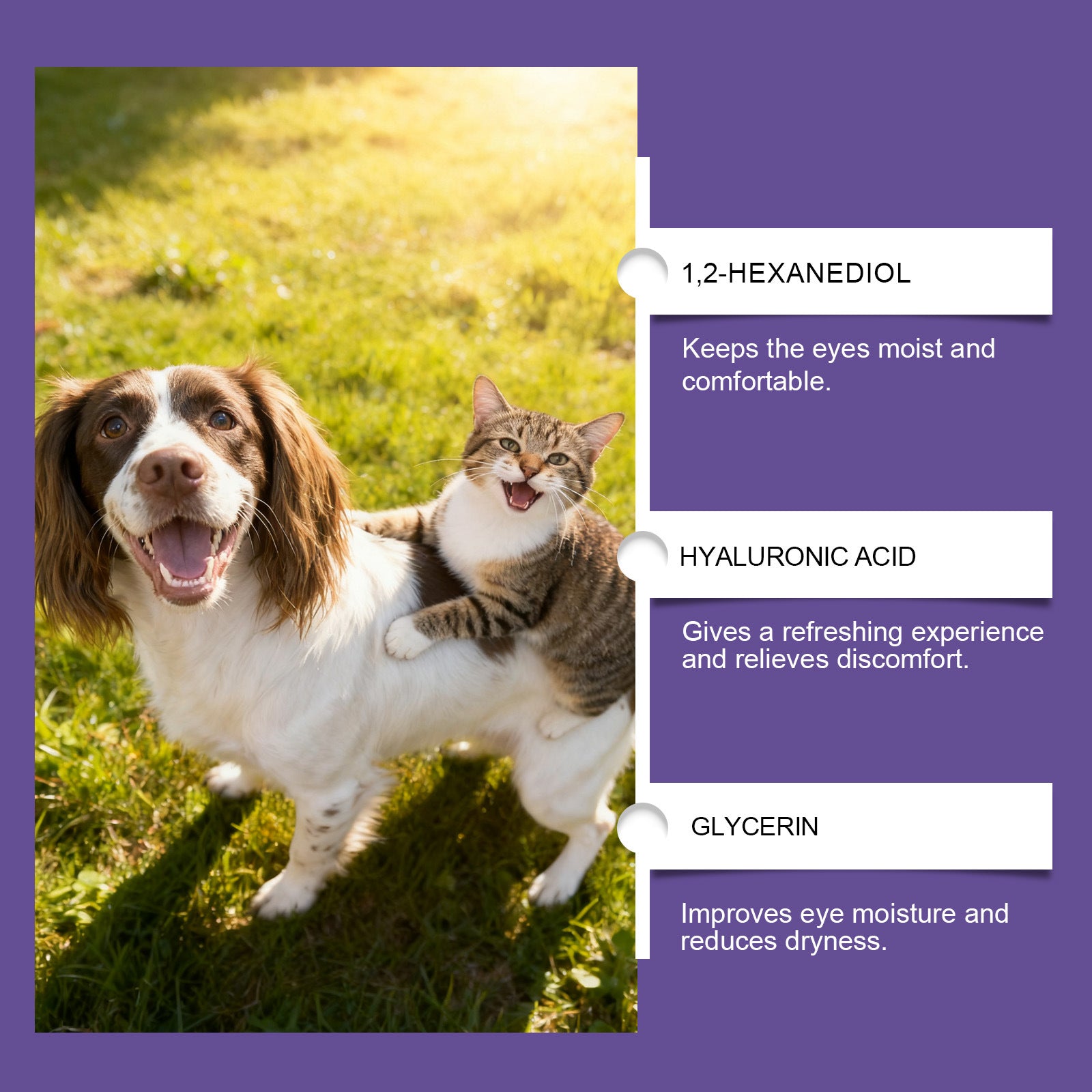Pet Eye Drops Gently Care For Cats And Dogs' Eye Tear Stains, Tear Marks, And Eye Discharge
