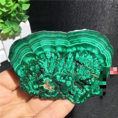 Natural Malachite Green Grinding Slice Mineral Specimen Ornamental Stone
